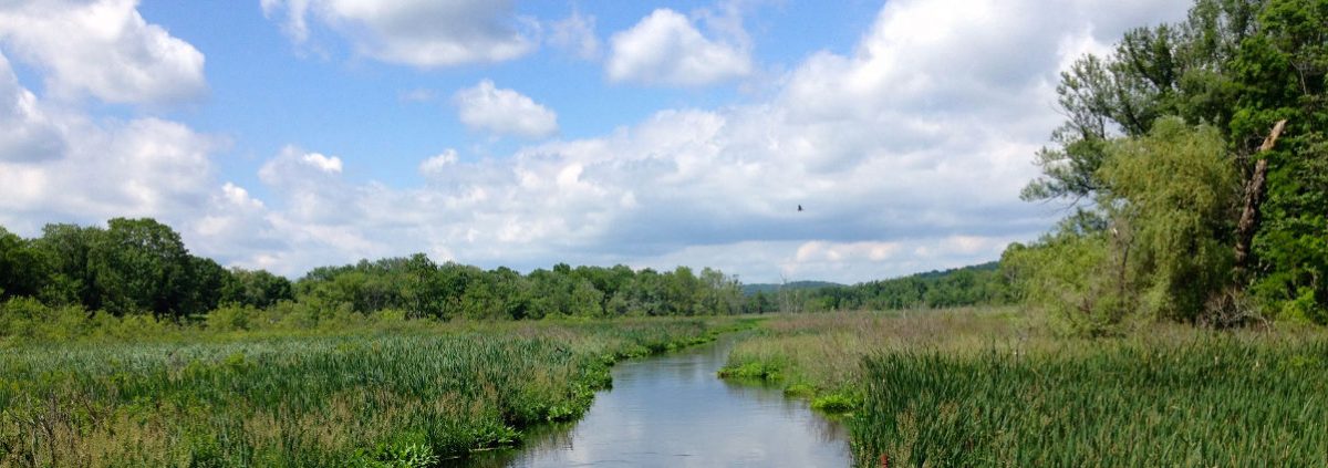 Black River Area near the Hermits of our Lady of Mount Carmel