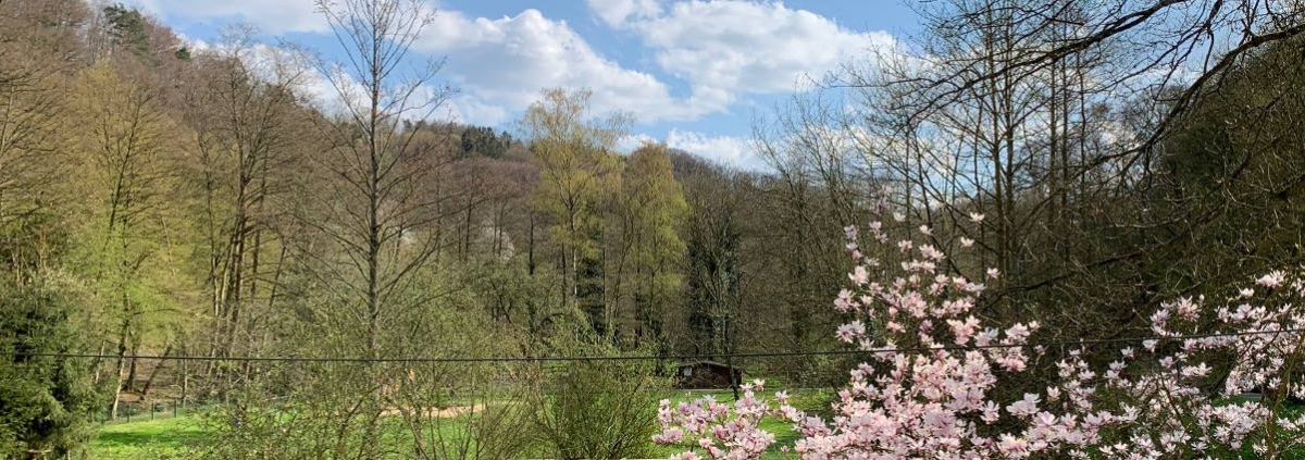 Blick vom Karmel St. Elia nach Seligenthal